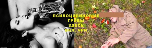 трава Абинск