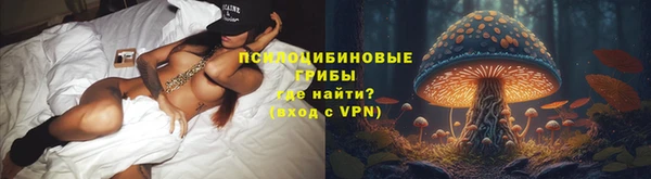 индика Михайловск