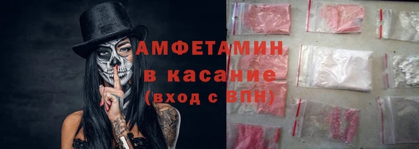 индика Михайловск