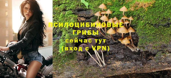 spice Михайлов